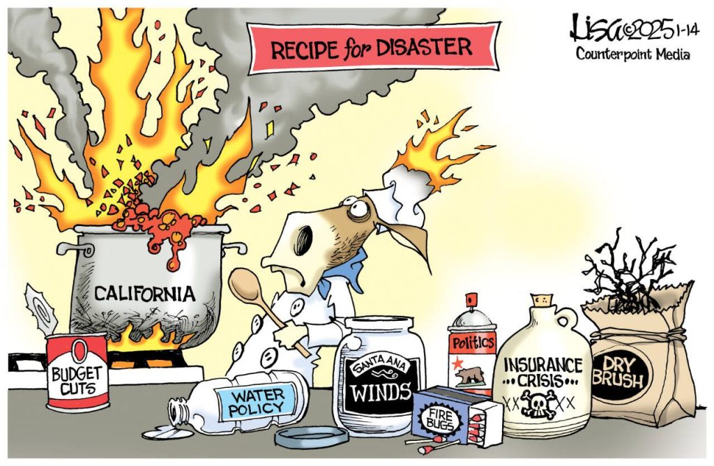 toon