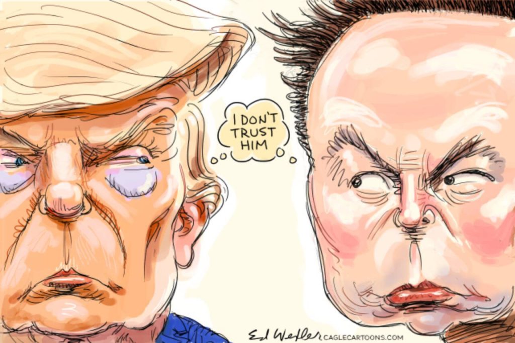 toon