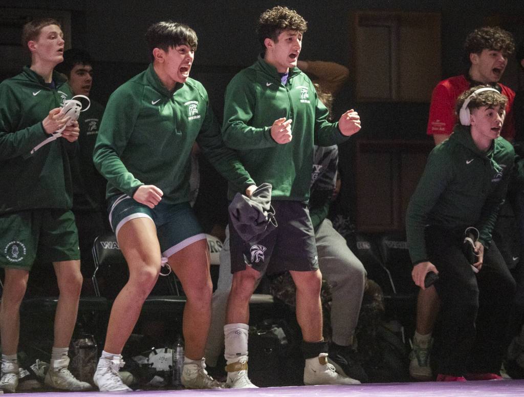 Edmonds-Woodway wrestlers react to a pin during the match against Meadowdale on Thursday, Jan. 16, 2025 in Edmonds, Washington. (Olivia Vanni / The Herald)