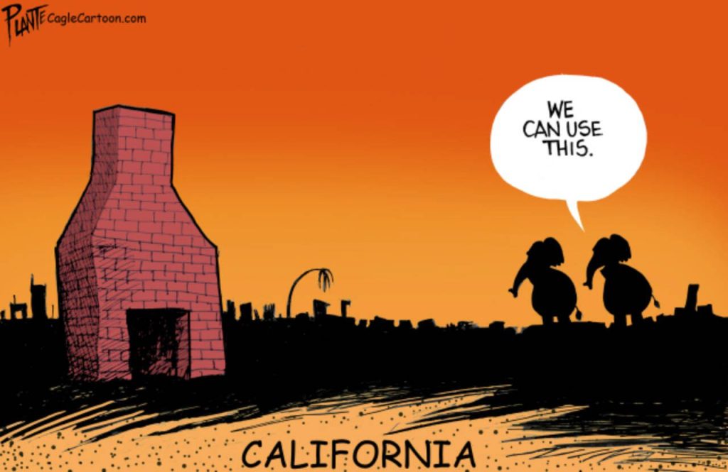 Two elephants look at catastrophic fire damage, California, Los Angeles, wind, El Nino, Palisades, Hollywood, nature, wildfires, disinformation, blame, misinformation, MAGA, natural disaster, global warming