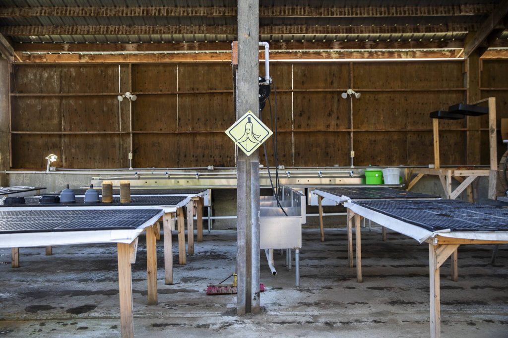 Rooted Northwests wash pack available to farmers that was funded by a Department of Agriculture grant on Thursday, Jan. 23, 2025 in Arlington, Washington. (Olivia Vanni / The Herald)