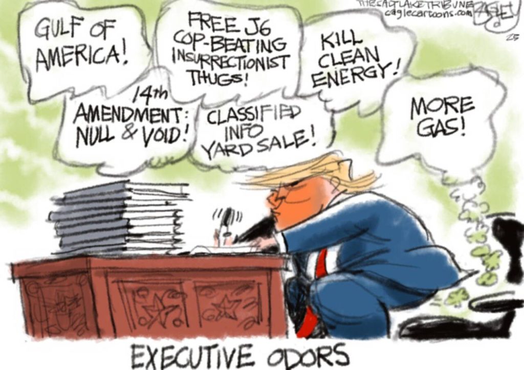 toon