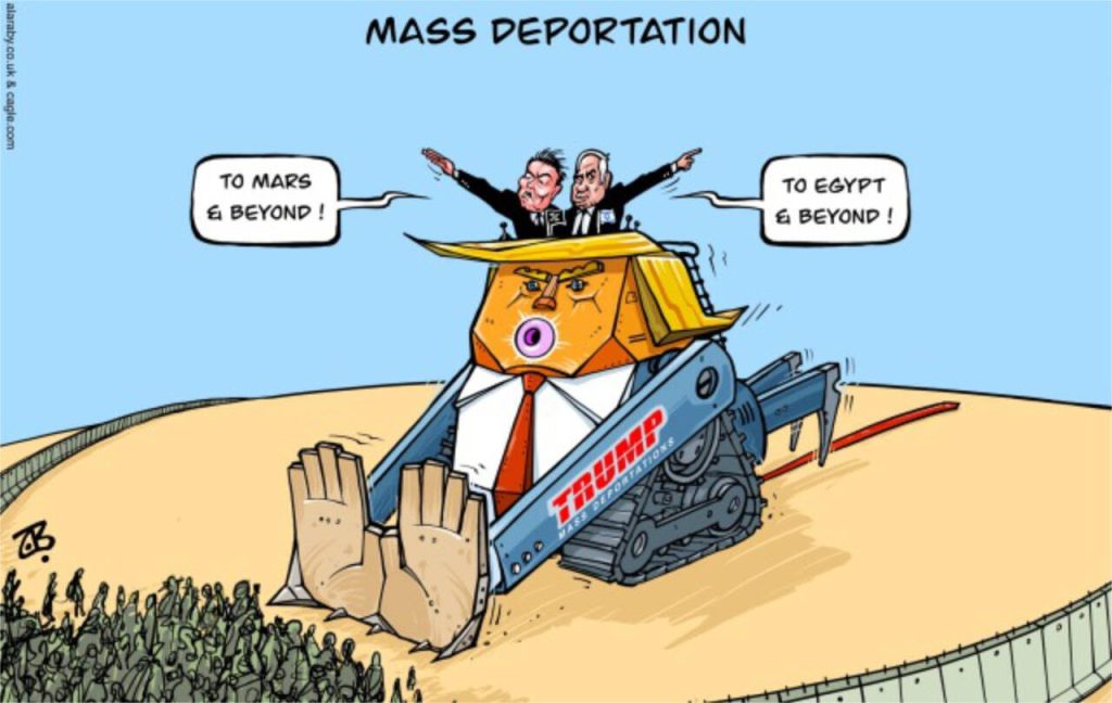 toon