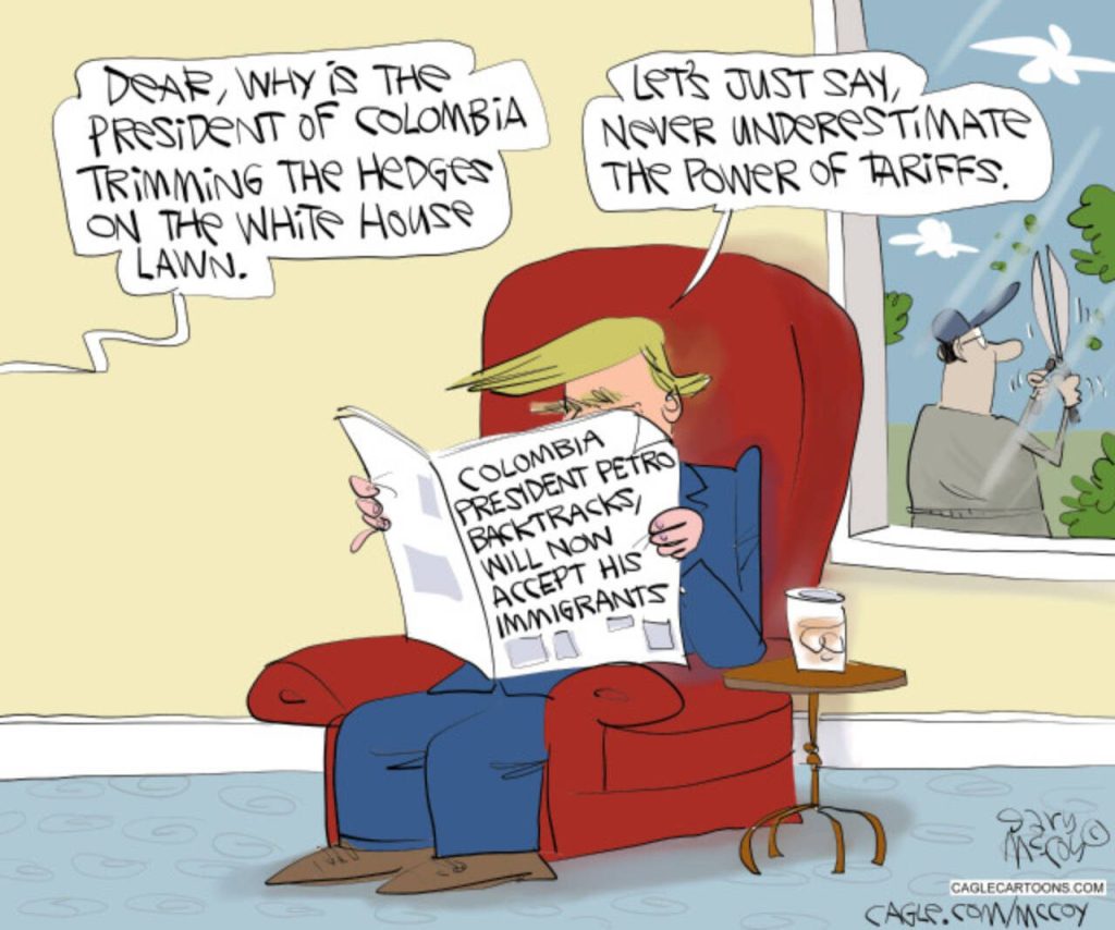 toon