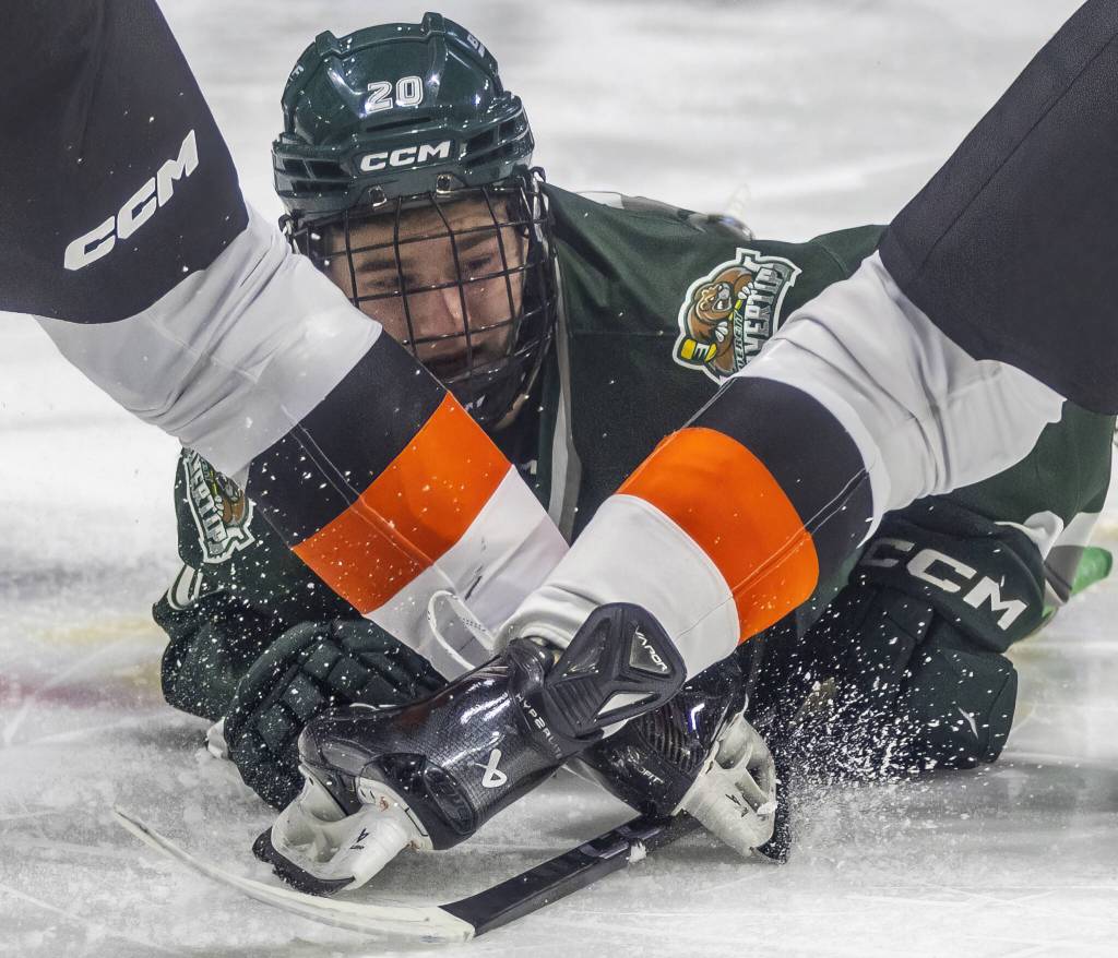 Slivertips Eddy Spytz narrowly misses colliding with the skates of two Medicine Hat players during the game on Wednesday, Jan. 29, 2025 in Everett, Washington. (Olivia Vanni / The Herald)