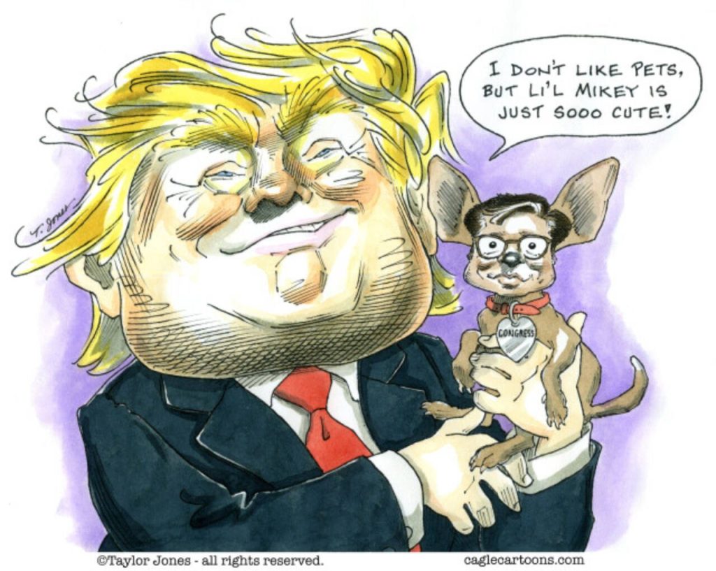 toon