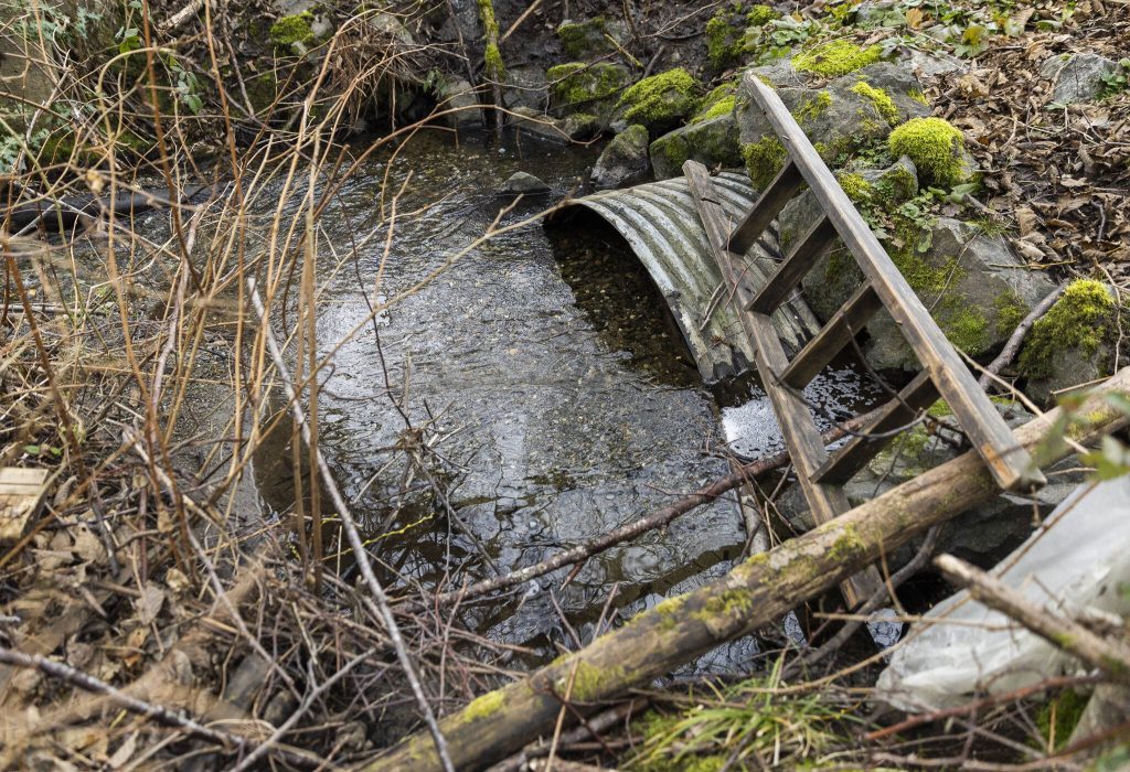 The entrance to an Edgecomb Creek outlet that runs underneath the Burlington Northern Santa Fe railroad on Thursday, Jan. 30, 2025, in Arlington, Washington. (Olivia Vanni / The Herald)
