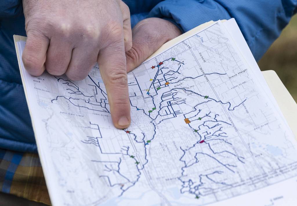 Brett Shattuck shows a map of different agencys restoration sites on Thursday, Jan. 30, 2025 in Arlington, Washington. (Olivia Vanni / The Herald)