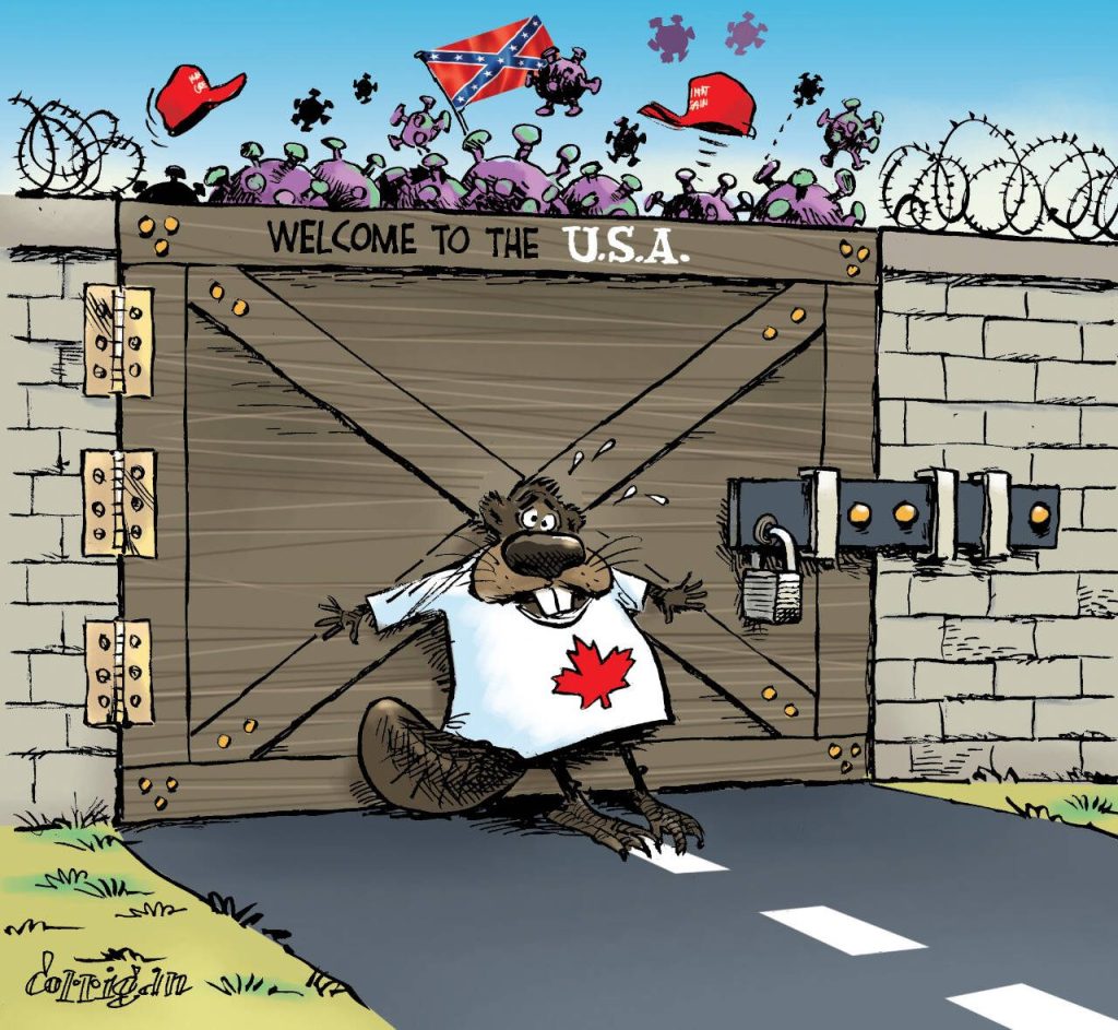 toon