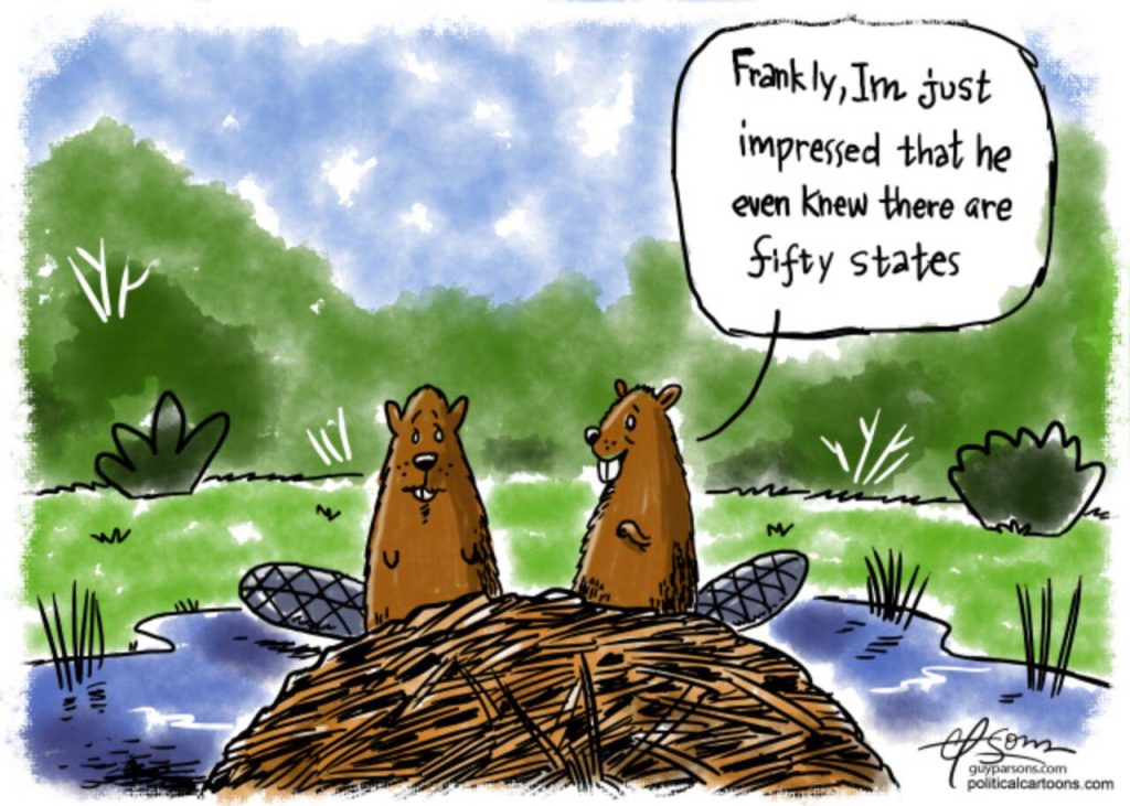 toon