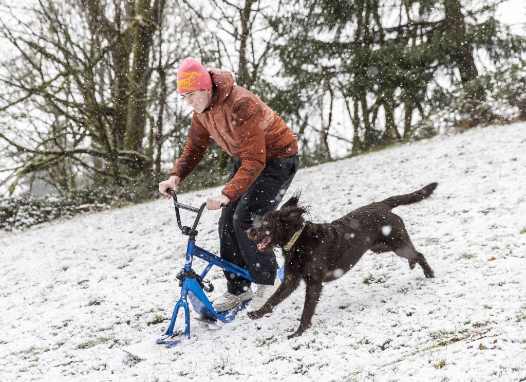 Roscoe Taylor and his dog Penny race down a snow-covered hill in Yost Park on Monday, Feb. 3, 2025 in Edmonds, Washington. (Olivia Vanni / The Herald)