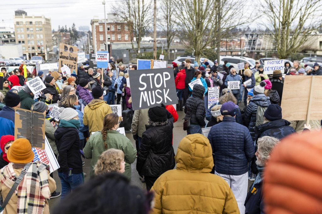 A person with a STOP MUSK sign standing in the middle of a crowd of a hundred people gathered during a rally organized by Snohomish County Indivisible at the Snohomish County Campus on Wednesday, Feb. 5, 2025 in Everett, Washington. (Olivia Vanni / The Herald)