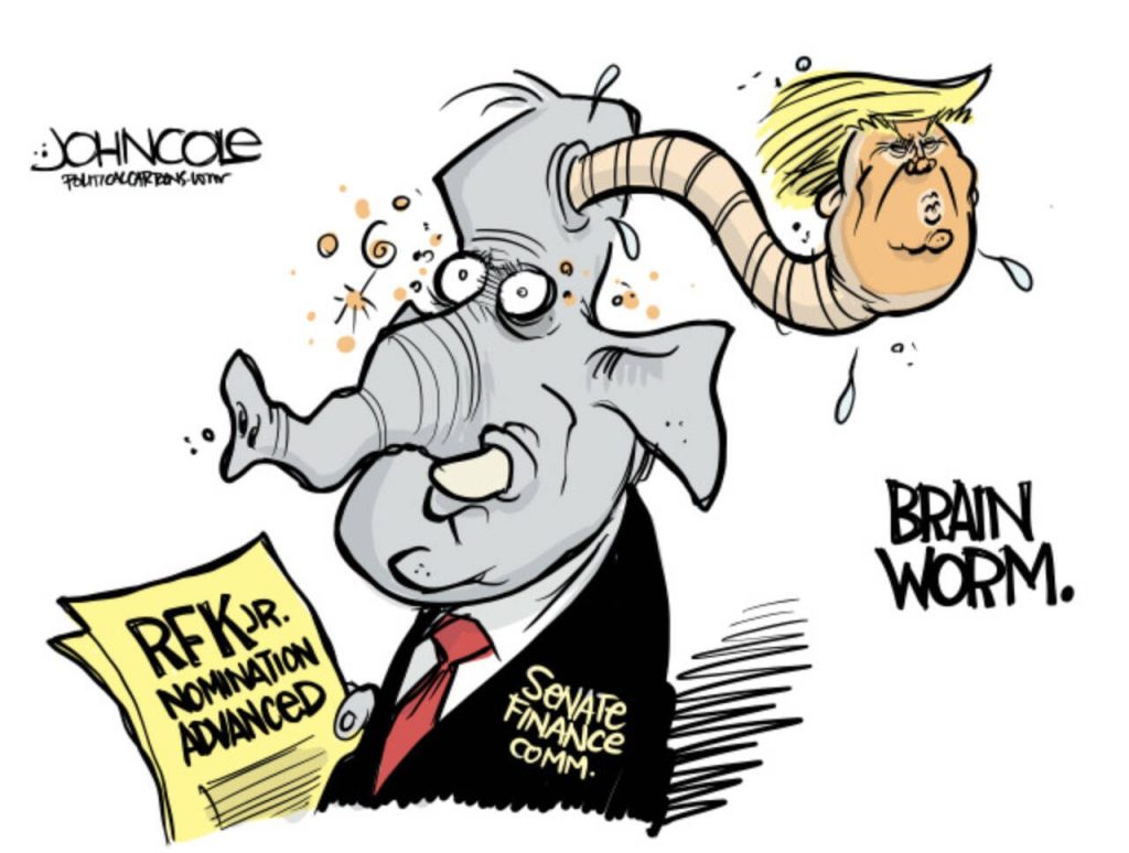 toon