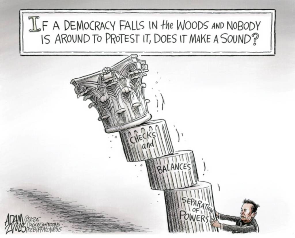 February 7, 2025: Toppling Our Democracy