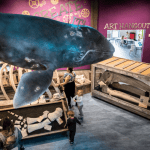 Children play and look up at a large whale figure hanging from the ceiling at the Imagine Childrens Museum (Olivia Vanni / The herald)