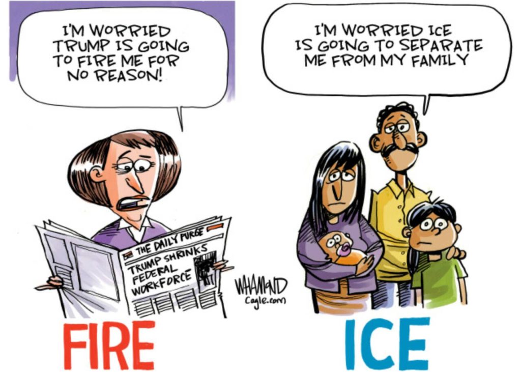 toon