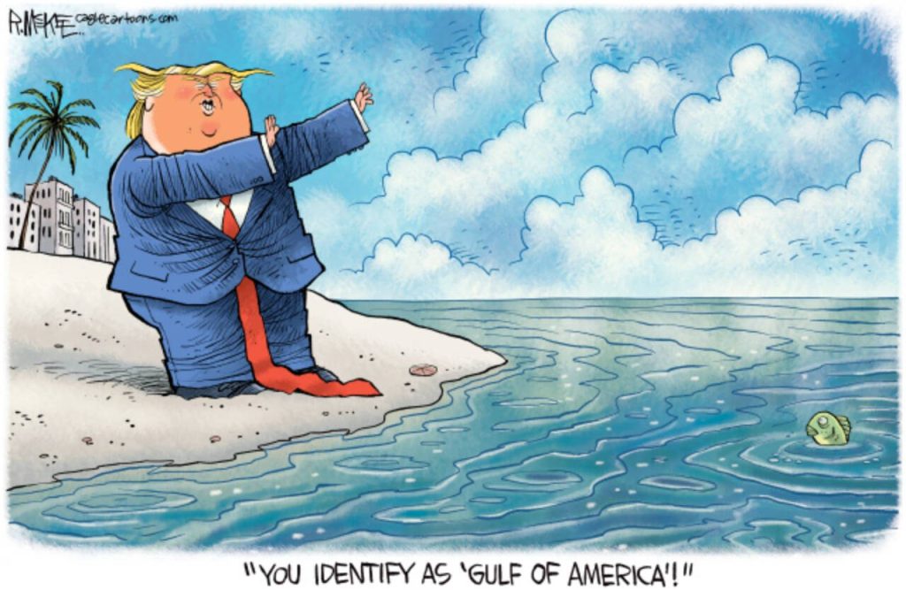toon