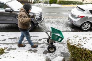 Fernando Espinoza salts the sidewalk along Fifth Avenue South on Thursday, Feb. 6, 2025 in Edmonds, Washington. (Olivia Vanni / The Herald)
