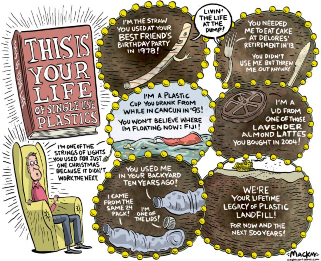Editorial Cartoon by Graeme MacKay, The Hamilton Spectator - Tuesday April 24, 2018

'We need to rethink the entire plastics industry': Why banning plastic straws isn't enough

Britain announced this week that it plans to ban the sale of single-use plastic straws, as support for similar bans grows in Canada and around the world.

Advocates say such straw bans should help reduce plastic pollution that harms wildlife and ecosystems, but we need to monitor the effects of such policies. And they say bans may not be feasible for most of the plastics in our lives, so broader changes to the way we produce, consume and dispose of plastics are needed to make a real difference.

Jennifer Provencher, a postdoctoral researcher at Acadia University who studies the ingestion of plastic pollution by wildlife, said Britain's ban is "an incredibly important step towards minimizing and using plastics more responsibly.”

She noted that single-use plastic items like straws and stir sticks are generally used only for a few minutes before they're discarded, but can persist in the environment for centuries because plastics don't typically decompose within a human lifetime.

Scientists estimate we've made 8.3 billion tonnes of plastic since the 1950s and 6.3 billion tonnes have already become waste.

More than 330,000 pieces of plastic and foam waste were picked off 2,800 kilometres of Canada's shoreline by volunteers during beach cleanup events last year, including 17,654 straws — the ninth most common item found during cleanups supported by Ocean Wise and WWF-Canada. Worldwide, 409,087 straws and stirrers were picked up in beach cleanups around the world in 2017, the Ocean Conservancy reports.

Because of their small size, disposable straws are rarely recycled and often end up in the environment.

There, they can cause serious injuries to animals, as shown in a 2015 video that shows a straw being pulled out of a sea turtle's nostril — the graphic, viral video has been viewed more