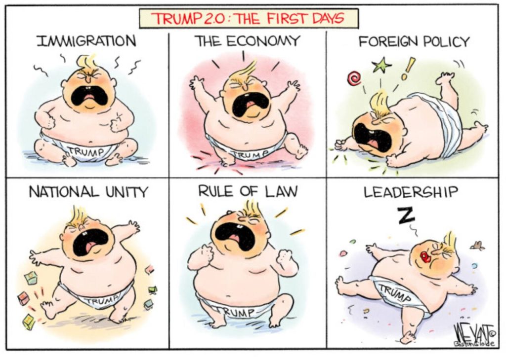 toon