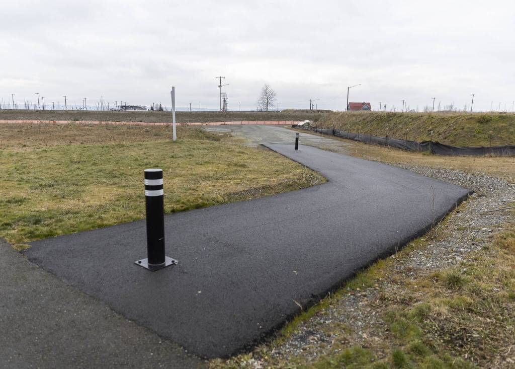 The undeveloped area of the Millwright District at the Port of Everett on Friday, Feb. 14, 2025 in Everett, Washington. (Olivia Vanni / The Herald)