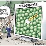 toon