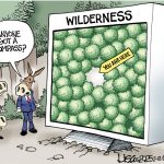 toon
