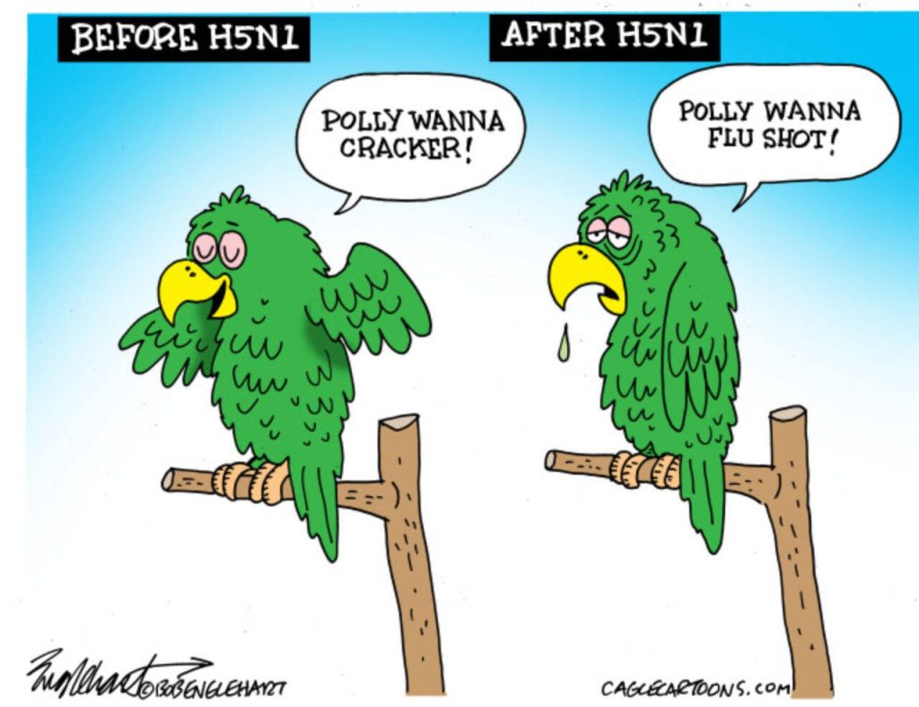 toon