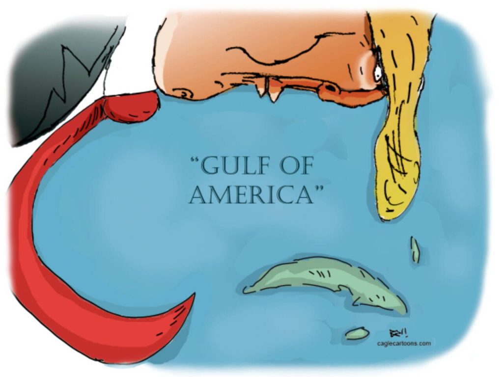 toon
