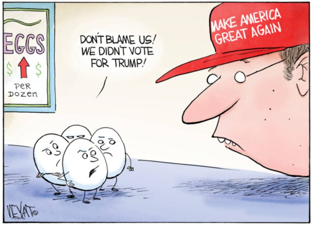 toon