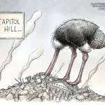 February 21, 2025: Head in the Rubble