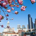 Seattle is a city made for spring explorations. Sergey Novikov // Shutterstock