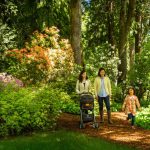 The beautiful Bloedel Reserve on Bainbridge Island. Keith Brofsky photo / Courtesy Bloedel Reserve