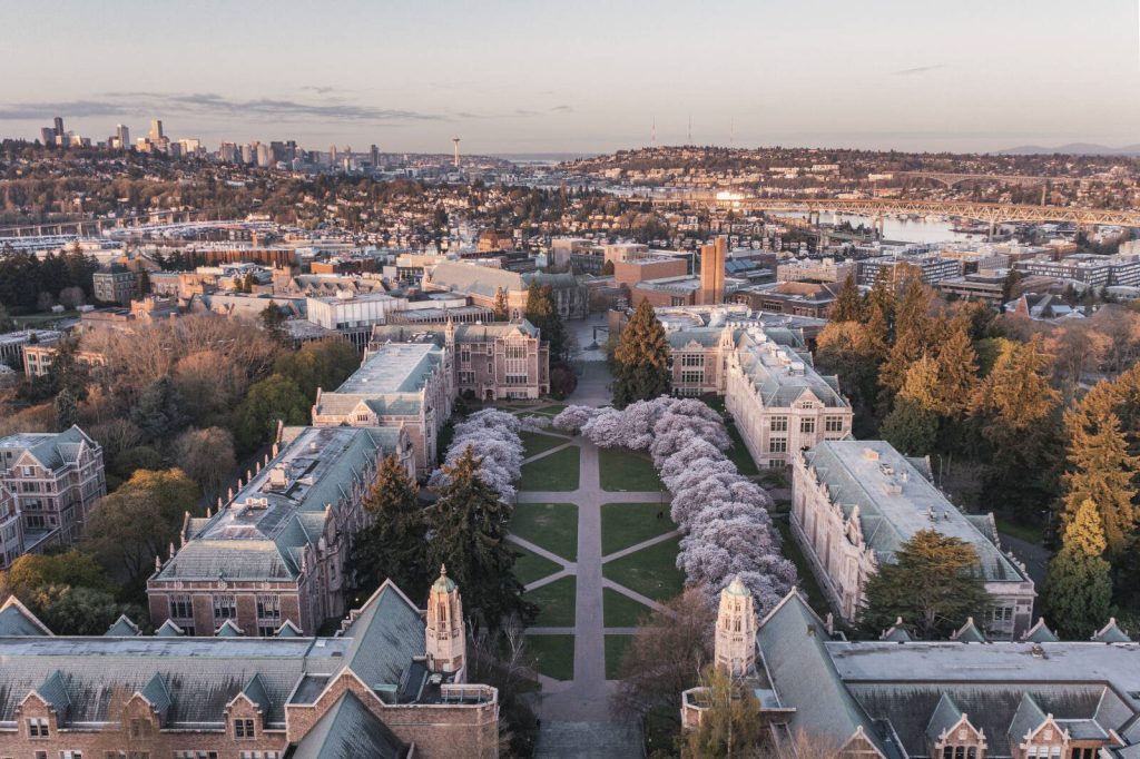 An early-morning view of the cherry blossoms at University of Washington in Seattle.