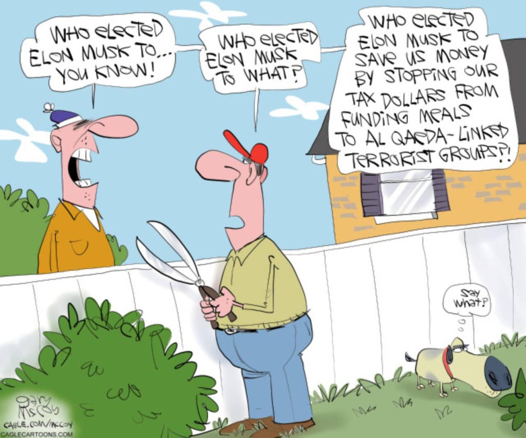 toon