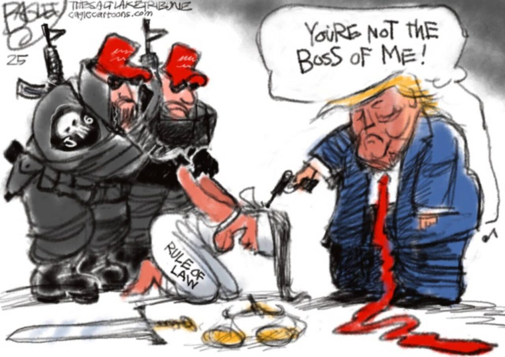 toon