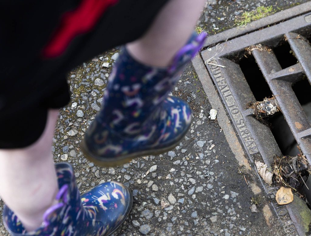 Students looks down at a storm drain that has the words outfall to steam marked on the outside at the Northwest Stream Center on Wednesday, March 5, 2025 in Everett, Washington. (Olivia Vanni / The Herald)