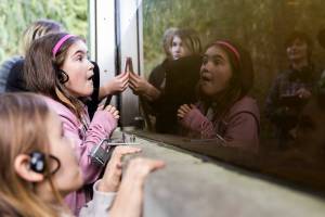 Josie Humphries, 7, reacts to a trout darting to eat a worm during a field trip with classmates from The Clearwater School at the Northwest Stream Center on Wednesday, March 5, 2025 in Everett, Washington. (Olivia Vanni / The Herald)