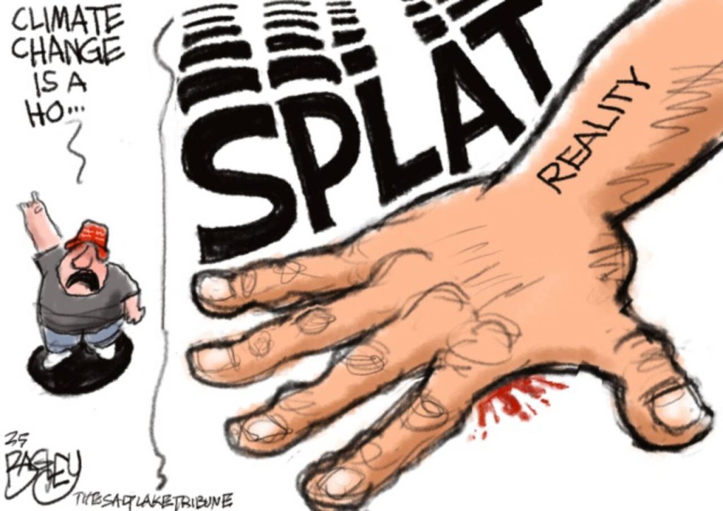 toon
