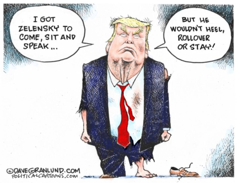 toon