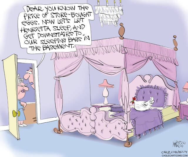 toon