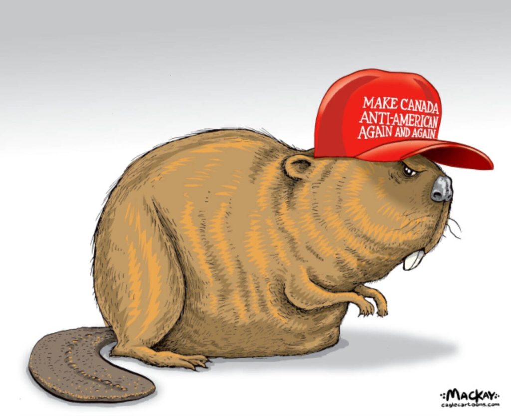 Editorial Cartoon by Graeme MacKay –  Wednesday March 5, 2025

Trump's actions spark anti-American sentiment in Canada.

The growing dislike of Donald Trump is increasingly translating into feelings of anti-American sentiment among some Canadians. As Trump's policies and rhetoric continue to provoke frustration, many individuals in Canada express their discontent not only towards his administration but also towards the broader implications for U.S.-Canada relations. This shift in sentiment reflects a deeper concern about American influence and actions, leading to a more pronounced sense of nationalism and, in some cases, resentment towards the U.S. as a whole.

The was originally published Thursday June 14, 2018

Canada, USA, anti-America, patriotism, Canadian, beaver, diplomacy, MAGA, Donald Trump, tariffs