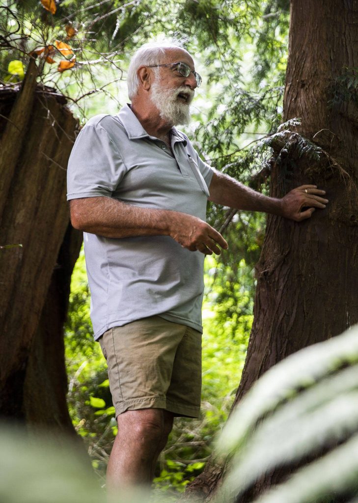 Retired fishery biologist Joe Scordino talks about some of the flooding that has happened along Perrinville Creek on Tuesday, July 30, 2024 in Edmonds, Washington. (Olivia Vanni / The Herald)