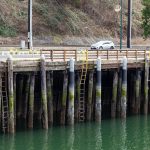 Port of Everett officials say an aging, 65-foot-long bulkhead near the Grand Avenue Park Bridge, and the wharf to its west, need to be replaced. (Aaron Kennedy / The Herald)