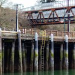 Port of Everett officials say an aging, 65-foot-long bulkhead near the Grand Avenue Park Bridge, and the wharf to its west, need to be replaced. (Aaron Kennedy / The Herald)