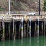 The port expects to solicit new bids by early May to build a new steel bulkhead that helps preserve the 165-foot section of the road. (Aaron Kennedy / The Herald)