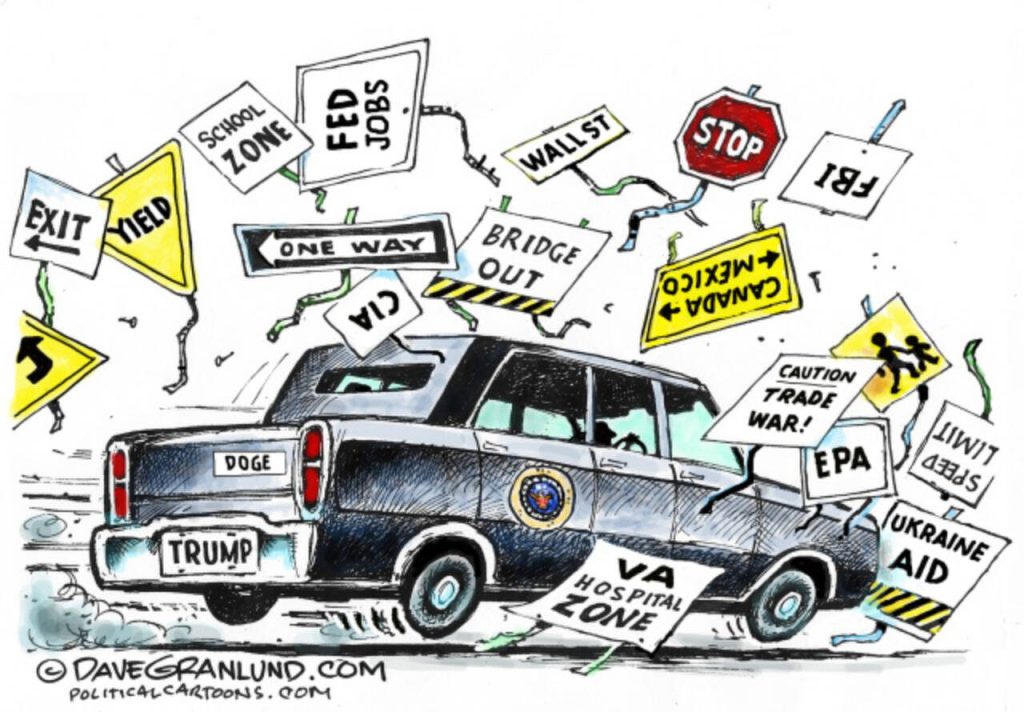 toon