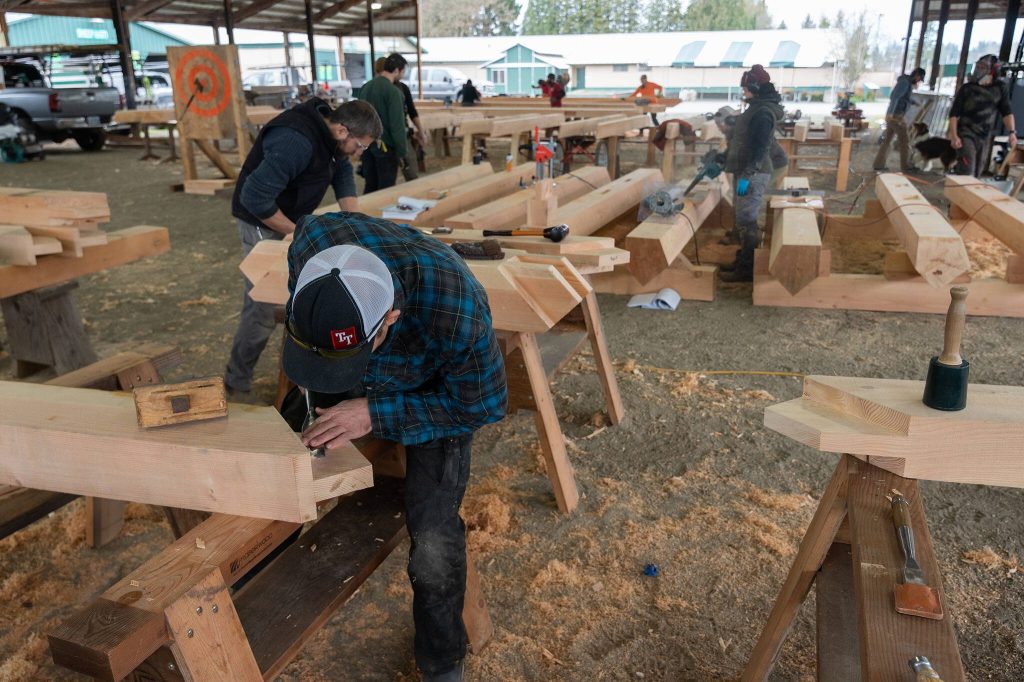 Volunteers with the Timber Framers Guild construct a community gathering space on Wednesday, March 19 in Monroe, Washington. (Will Geschke / The Herald)