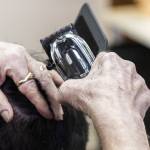 Small bits of hair cover Don Sharretts hand. (Olivia Vanni / The Herald)