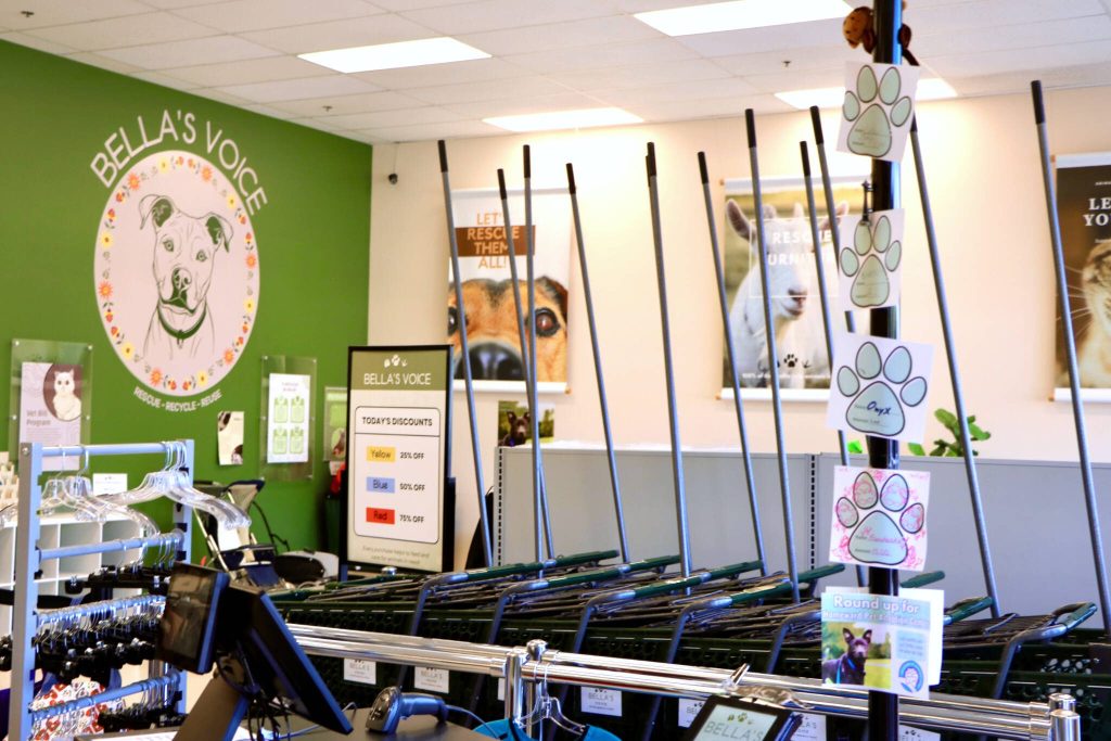 Long vertical poles were added to shopping carts at Bellas Voice in Lynnwood to prevent theft of their carts and their goods. (Aspen Anderson / The Herald)